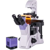 Микроскоп Magus Lum VD500 83020