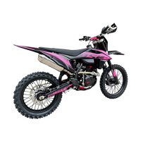 Мотоцикл BSE T4 ZS172FMM-5 B0T4YE015HNH1 (розовый)