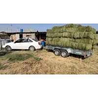 Двухосный прицеп Вектор ЛАВ 81013 двухосный, с высоким бортом (3500х1500х3800)