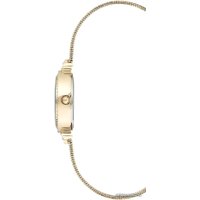 Наручные часы с украшением Anne Klein 3202GBST в Бобруйске