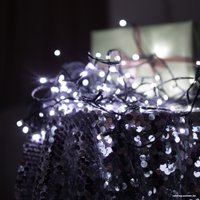 Светодиодная гирлянда Retlux RXL 204