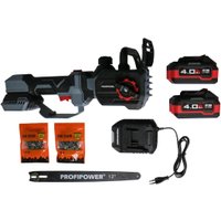 Аккумуляторная пила Profipower PL-12 (с 2-мя АКБ) в Орше