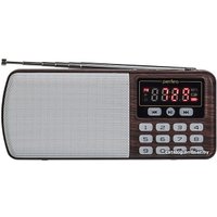 Радиоприемник Perfeo Егерь i120-BK