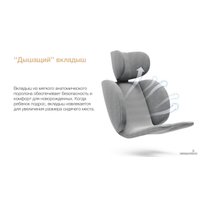 Детское автокресло Bubago Aspid (черный)