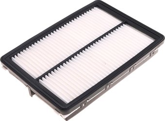 Воздушный фильтр Hyundai/KIA 28113A9100