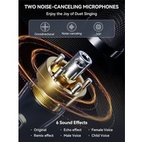 Беспроводная колонка NewRixing NR-8806W