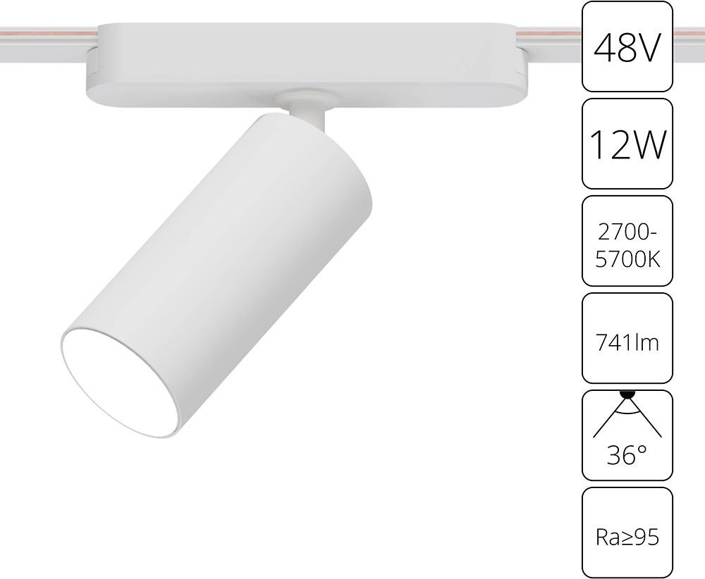 

Трековый светильник Arte Lamp Rapid A2958PL-1WH