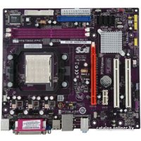 Материнская плата EliteGroup GeForce6100PM-M2 (V2.0)