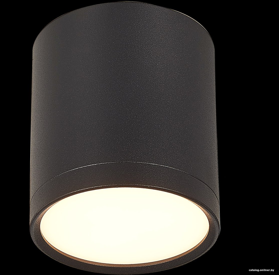 Точечный светильник ST Luce Rene