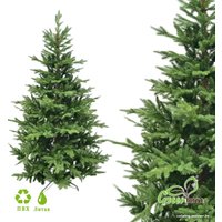 Ель GreenTerra Милтон 1.2 м