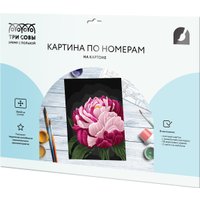 Картина по номерам Три совы Цвет пиона КК_53817