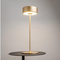 Настольная лампа Maytoni AI Collaboration MOD229TL-L3G3K2