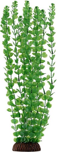 Laguna Бакопа 74044051