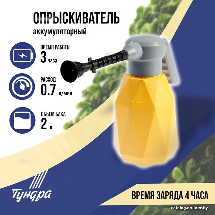 Аккумуляторный опрыскиватель Tundra 9195314