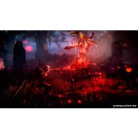  Ведьмак 3: Дикая Охота. Коллекционное издание для PlayStation 4