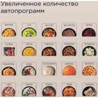 Мультиварка Redmond (Редмонд) MC105 (бежевый)