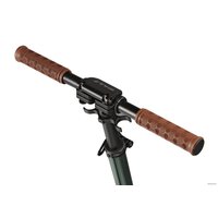 Двухколесный подростковый самокат Shulz 200 2022 (зеленый)