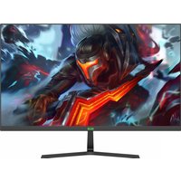 Игровой монитор ELSA EA251S