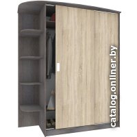 Шкаф-купе Кортекс-мебель Лагуна ШК05-00 левая консоль (береза/дуб сонома)