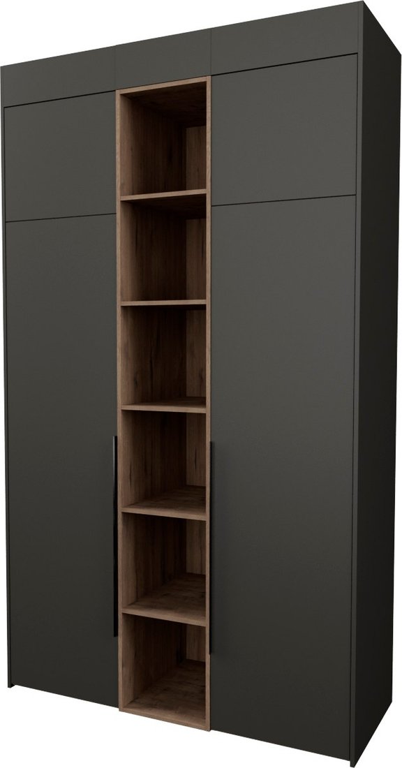 

Шкаф распашной Рэйгрупп Рэй S245-В5-WKW В5 (дуб веллингтон/кобальт)