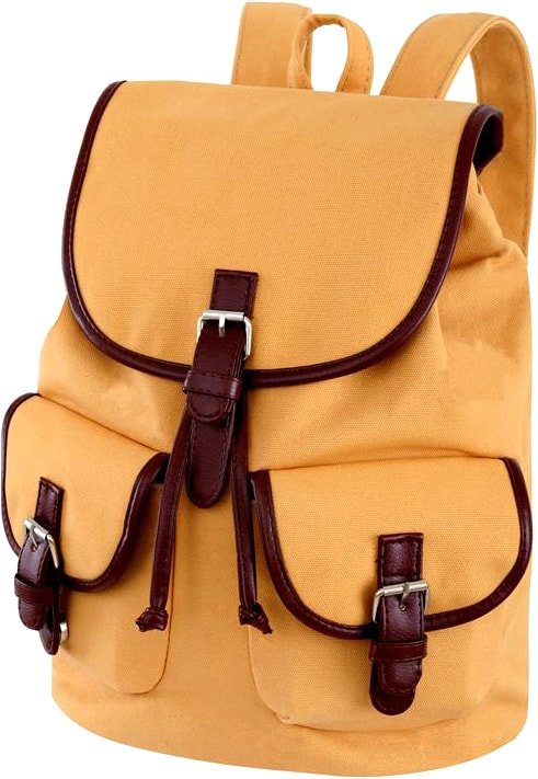 

Городской рюкзак Asgard Р-5593 Color (горчичный)