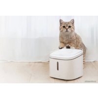 Фонтанчик Xiaowan Smart Pet Water Dispenser XWWF01MG (китайская версия)