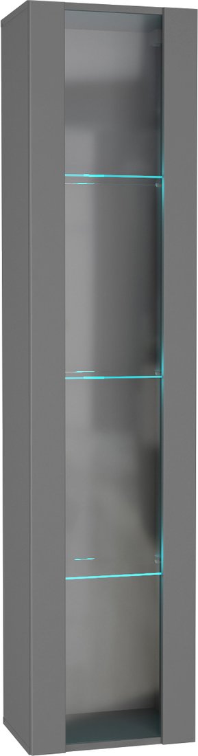 

Шкаф-витрина НК-Мебель Point тип-41 71775205 (серый графит)