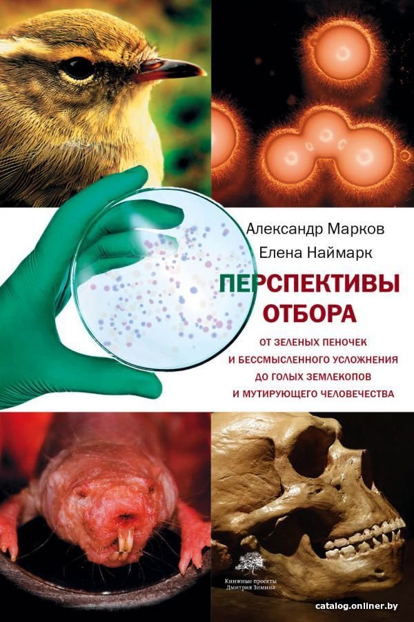 Книга издательства АСТ. Перспективы отбора