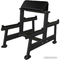 Скамья Скотта UltraGym UG-CL103