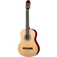 Акустическая гитара Caraya C955-N