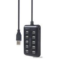 USB-хаб Gembird UHB-U2P10P-01
