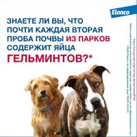 Таблетки от блох и клещей Elanco Мильбемакс для крупных собак (2 таблетки)