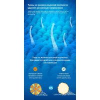 Робот для мытья окон Liectroux YW810