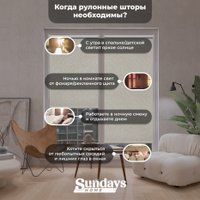 Рулонные шторы Sundays Home LM 97-04 100х160 (бежевый)