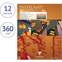 Альбом для рисования Clairefontaine Pastelmat 96007C (12 л)