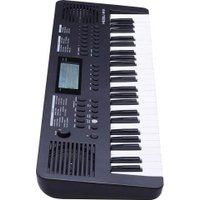 Синтезатор Medeli MK49 (черный)