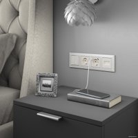 Накладка для розетки Werkel W1191113 a051176