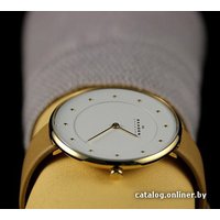 Наручные часы Skagen SKW2137 в Пинске