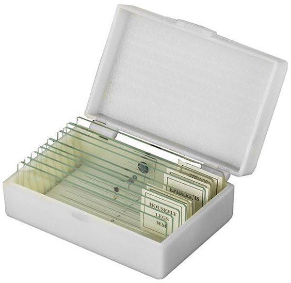 

Микромед С предметными стеклами 20529