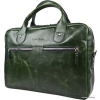 Мужская сумка Carlo Gattini Fratello 1014-11 (зеленый)