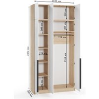 Шкаф распашной Soma Lord Black 3-х створчатый 120x240 (дуб сонома/белый)