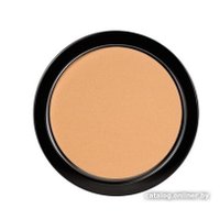 Компактная пудра Paese Прозрачная матирующая Matte Powder 5А (9 г)