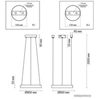 Подвесная люстра Odeon Light Brizzi 4244/45L