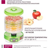 Сушилка для овощей и фруктов Мастерица EFD-3061 (зеленый перламутр)