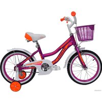 Детский велосипед Lorak Junior 16 Girl (фиолетовый)