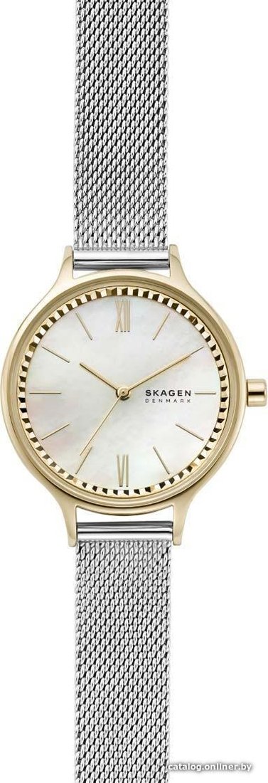 Наручные часы Skagen SKW2866