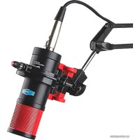 Проводной микрофон Alctron CS35