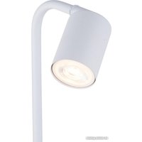 Настольная лампа TK Lighting Logan 5490