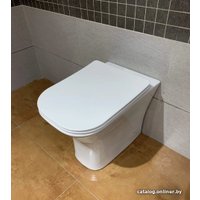 Унитаз приставной Cerutti Vettore F CT7841 в Гродно