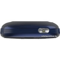 Кнопочный телефон Maxvi B9 (синий)